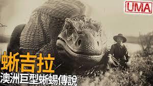 ���������Ϊ��˵����