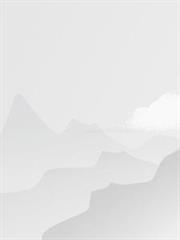 班级求生：海岛上我生生不息